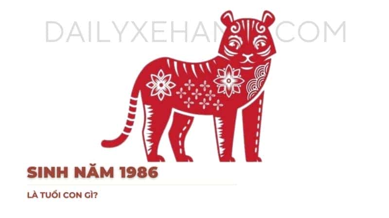 1986 Tuổi Con Gì