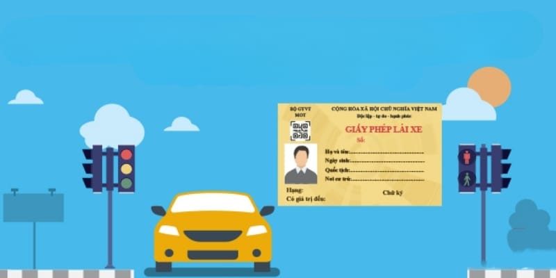 Các hạng mục GPLX dành cho xe ô tô và xe chuyên dùng khác