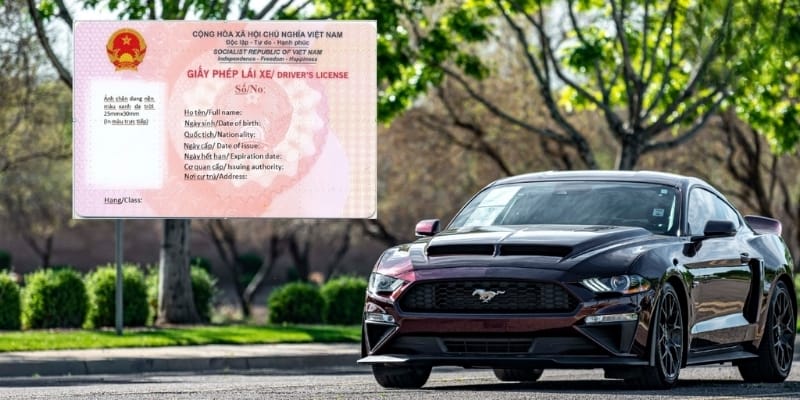 Khi nào cần tra cứu thông tin GPLX? 