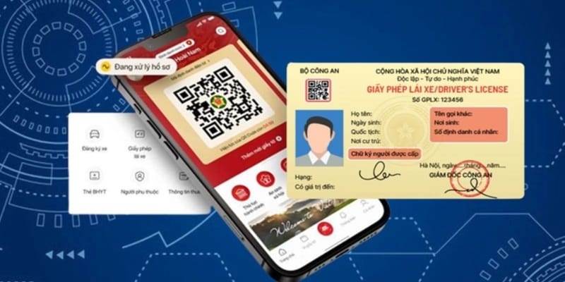 Những lưu ý quan trọng khi tra cứu giấy phép lái xe 