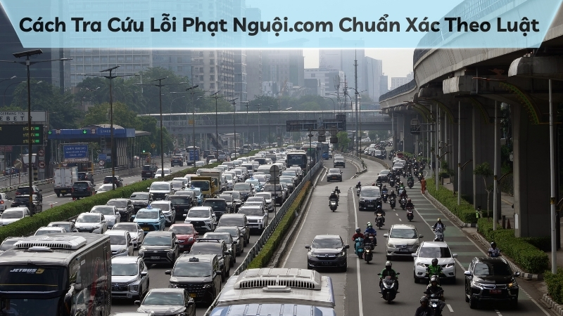 Cách Tra Cứu Lỗi Phạt Nguội.com Chuẩn Xác Theo Luật