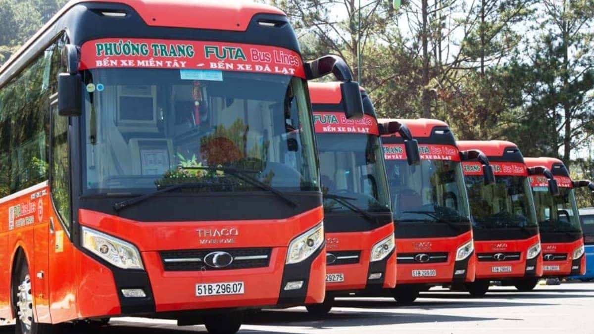 Hotline và địa chỉ các văn phòng tổng đài đặt xe Phương Trang tại TP. Hồ Chí Minh