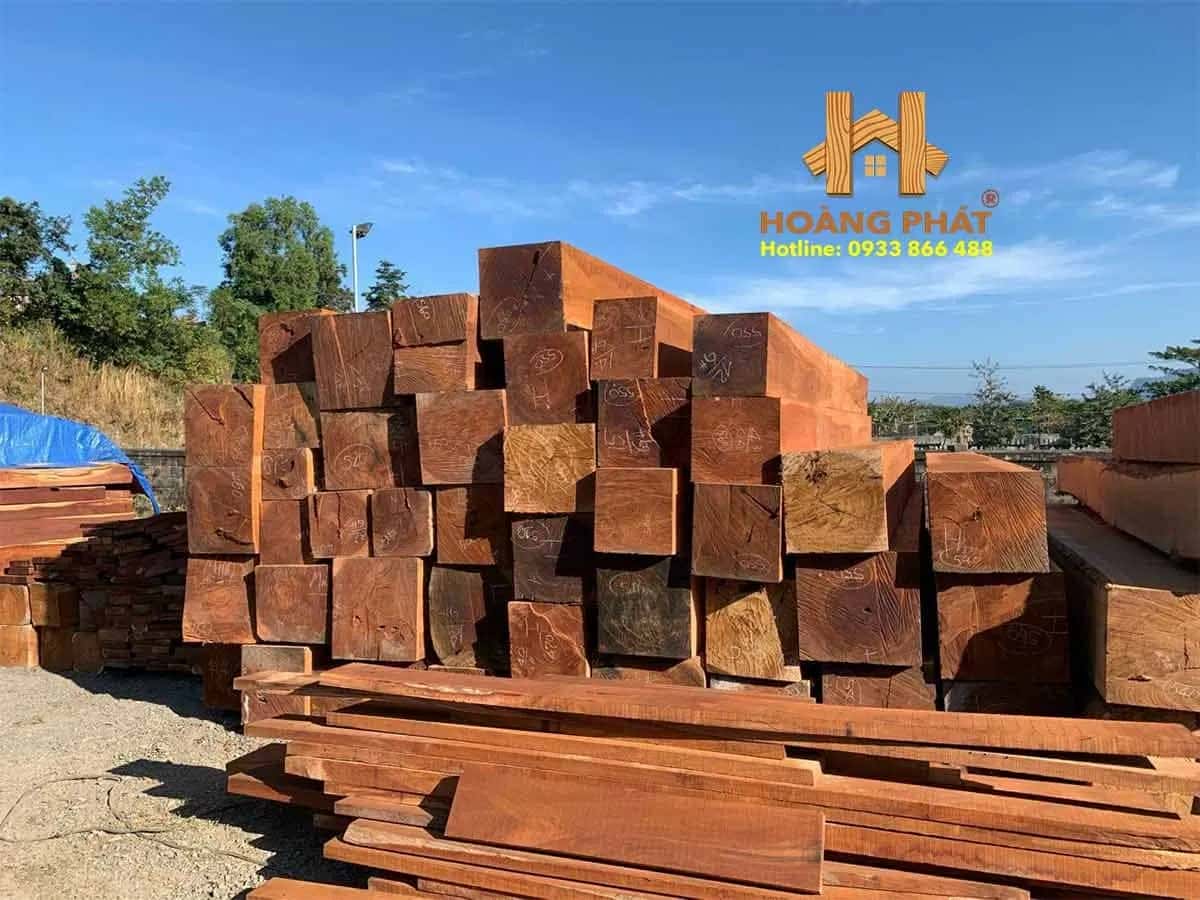 Khối gỗ căm xe lớn được tập kết tại xưởng chuẩn bị chế biến