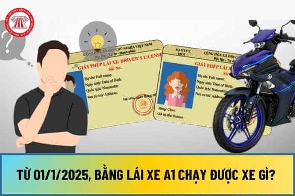 Người điều khiển xe máy trên đường