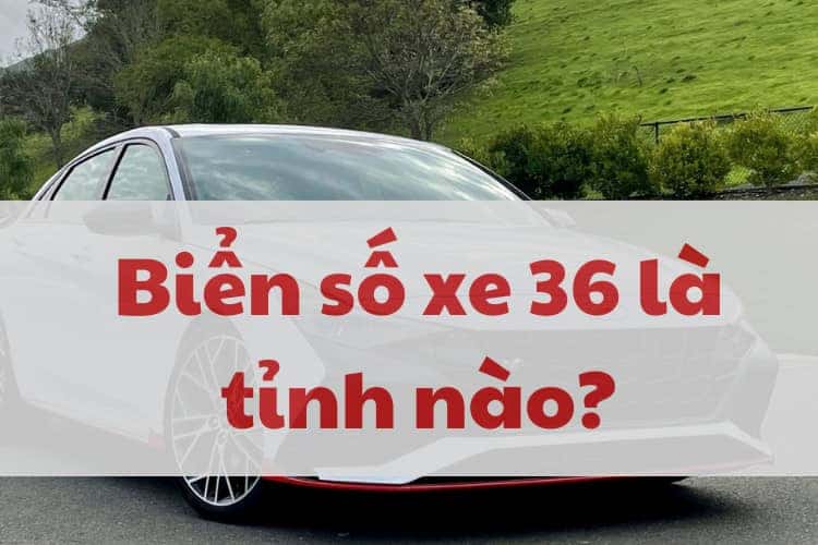 Ô tô mang biển số 36 đang di chuyển trên đường
