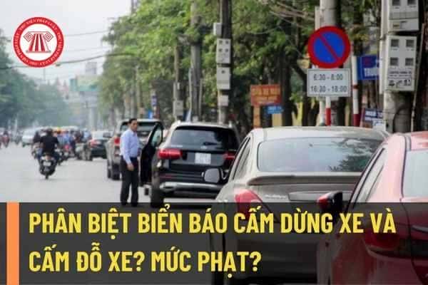 Phân biệt biển báo cấm dừng xe và cấm đỗ xe