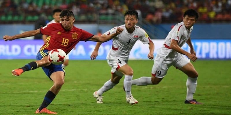 Lựa chọn mạng cực mạnh