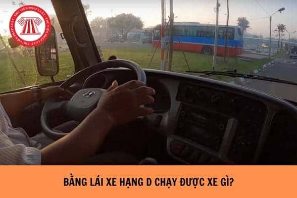 Người lái xe điều khiển xe khách cỡ trung