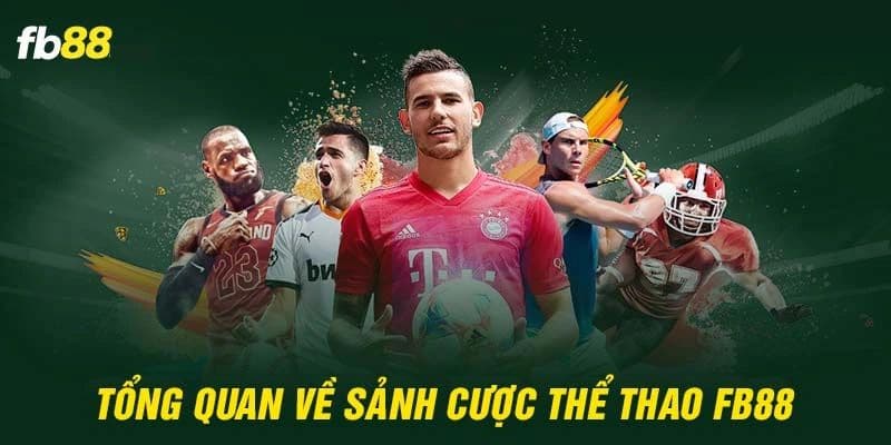 Thể Thao Fb88 - Đỉnh Cao Trải Nghiệm Cược Đẳng Cấp