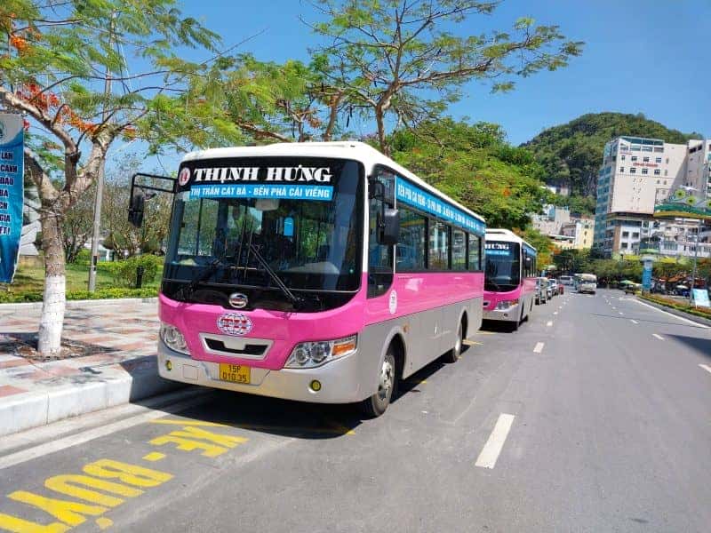 Xe buýt Thịnh Hưng tuyến Cát Hải 2024