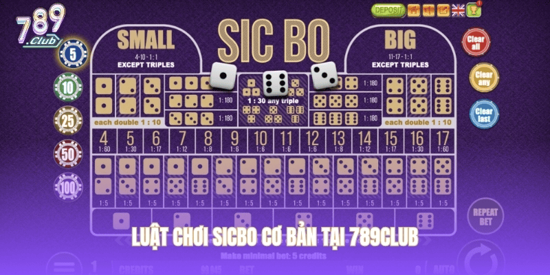 Các dạng cầu đặc trưng và phương pháp phân tích lịch sử