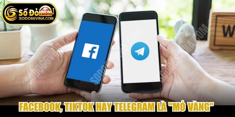 Facebook, TikTok hay Telegram là "mỏ vàng" để các đối tác phát triển
