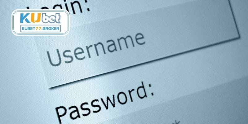 Trải nghiệm cá cược đẳng cấp quốc tế khi đăng ký Kubet77