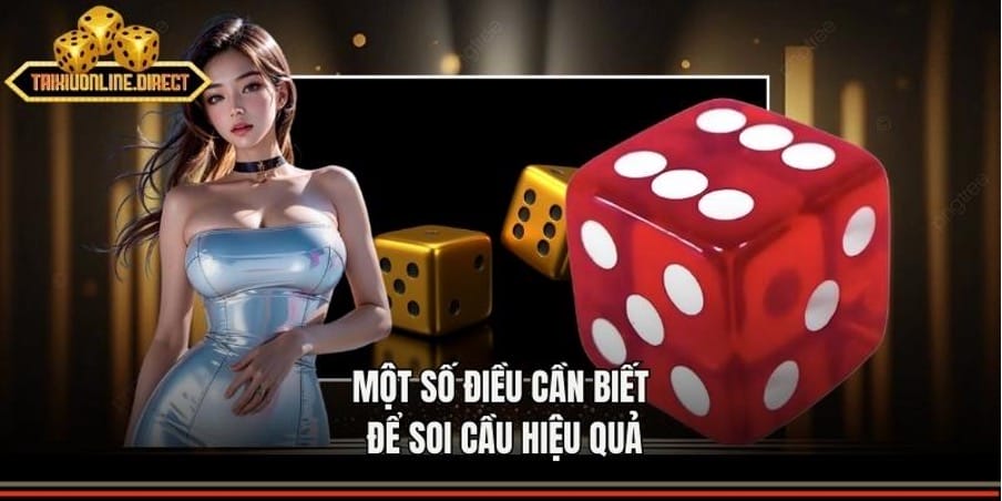 Lưu ý khi áp dụng phương pháp cầu trong sicbo