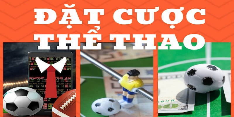 Khám phá chuyên mục thể thao 789P hot nhất 2026
