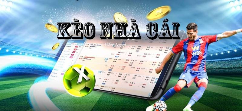 Cách đọc các loại kèo phổ biến – Châu Á, châu Âu, tài xỉu và cách tiếp cận