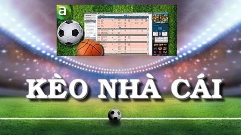 Phương pháp soi kèo hiệu quả – Phân tích dữ liệu, theo dõi biến động và chọn lọc thông tin