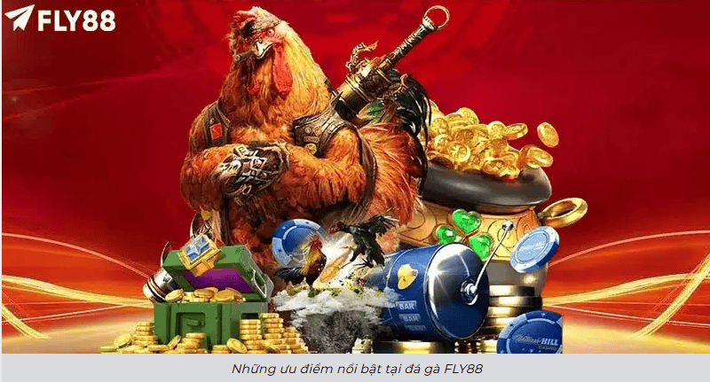 Giao diện và cách tổ chức thông tin giúp người mới dễ làm quen