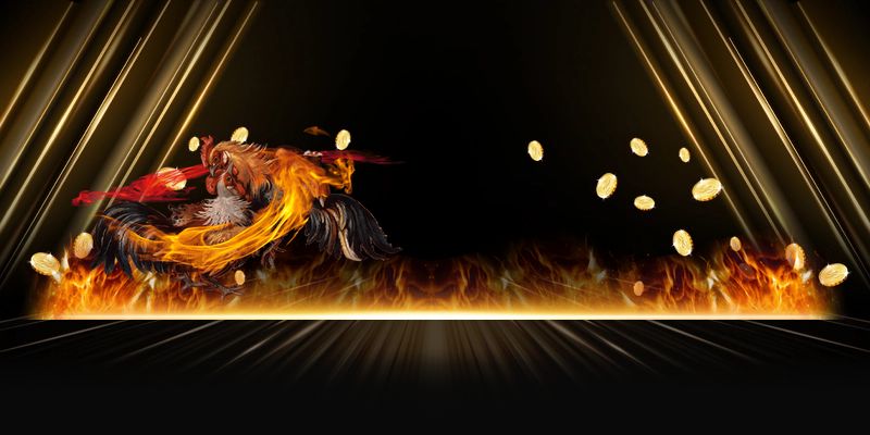 Khám phá sức hút mãnh liệt từ sảnh đá gà SHBET