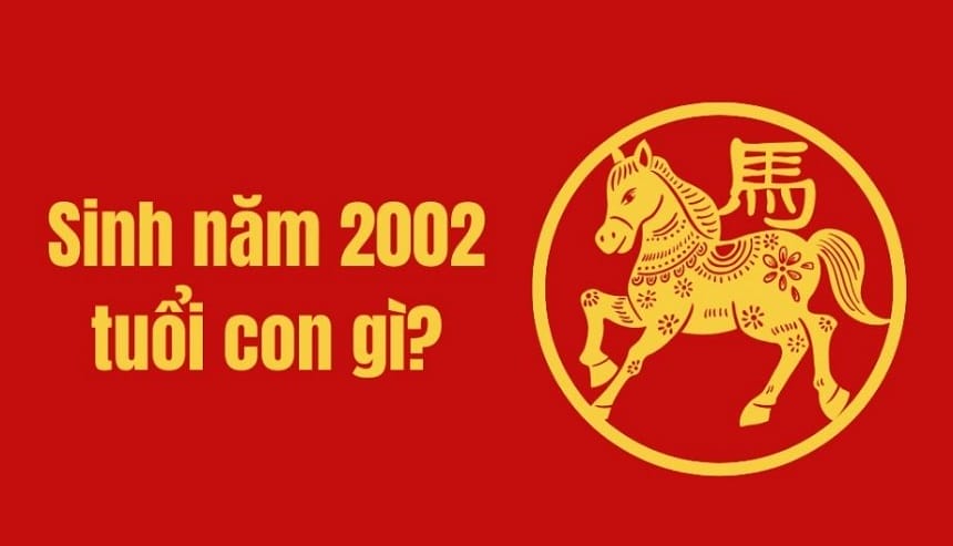 2002 tuổi con gì?