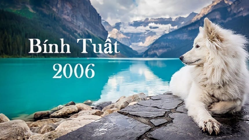 Con đường sự nghiệp Bính Tuất 2006