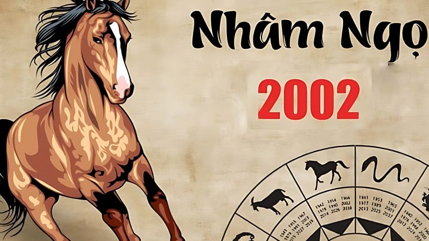 Đặc điểm tính cách nam mạng 2002