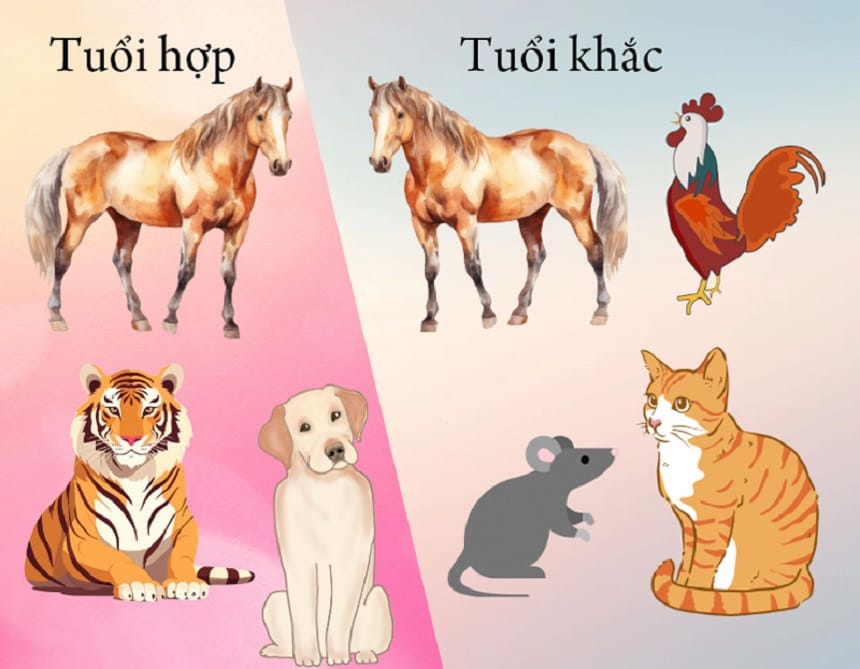 Giáp Ngọ 2014 hợp - khắc tuổi nào?