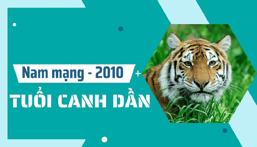 Nam Canh Dần 2010 có tính cách như thế nào?