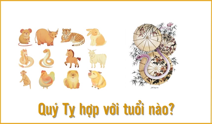 Quý Tỵ 2013 hợp tuổi nào?