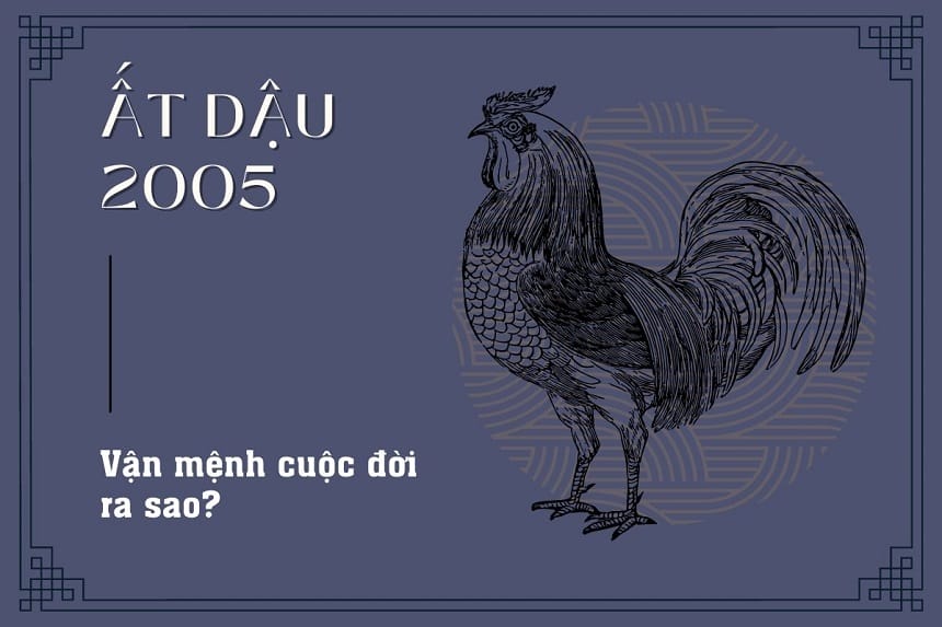 Sau 30 tuổi, Ất Dậu 2005 có nhiều bước đột phá