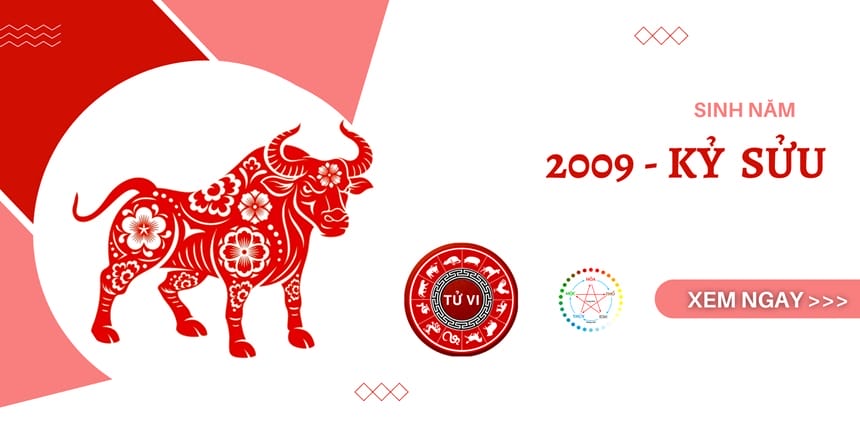 Sinh 2009 tuổi con gì?