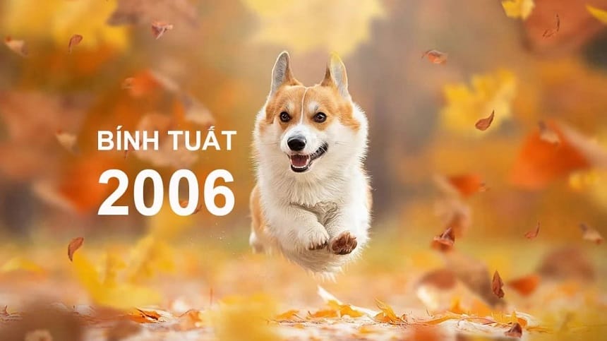 Tìm hiểu 2006 tuổi con gì?