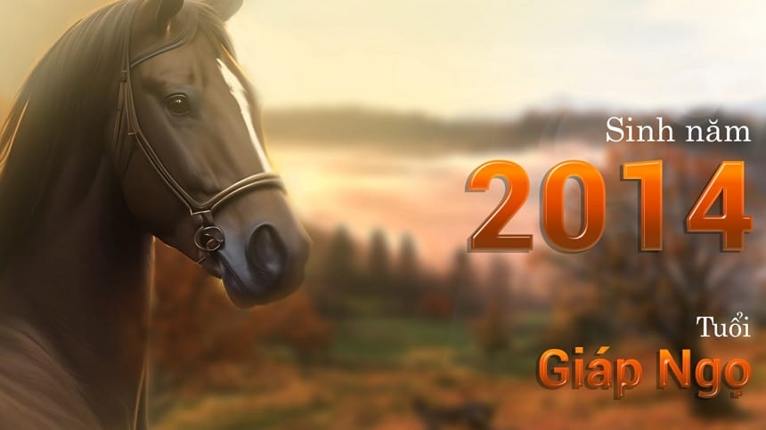Tìm hiểu 2014 tuổi con gì?