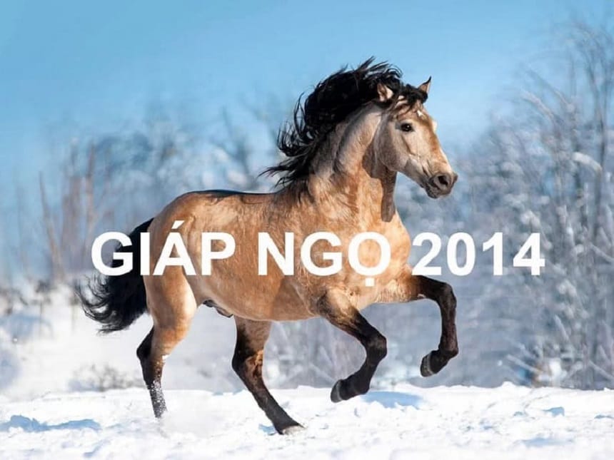 Tính cách người tuổi Ngọ 2014
