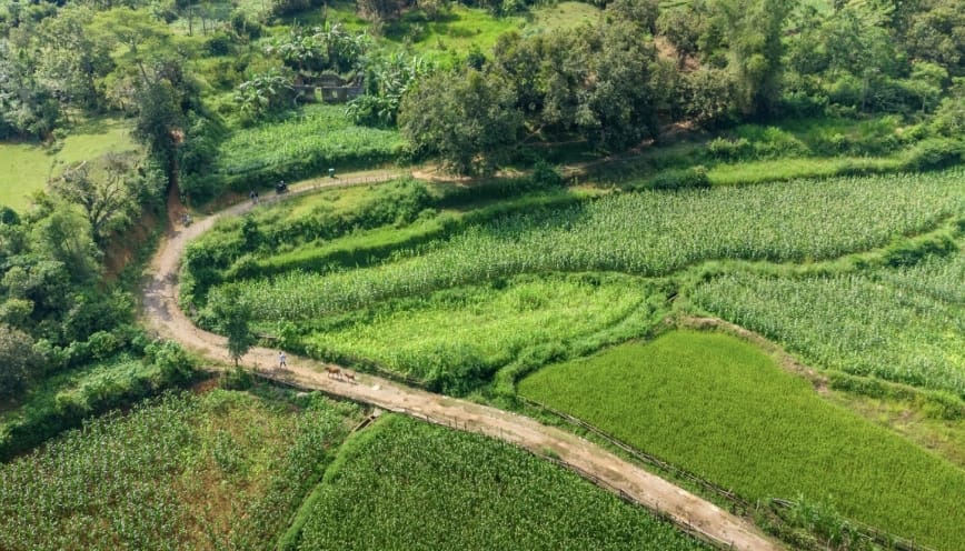 Thị trấn Trùng Khánh với những cánh đồng hạt dẻ