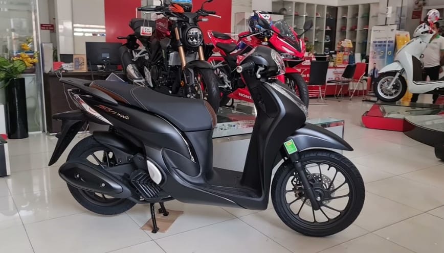 Ưu tiên xe có bảo hành và giấy tờ minh bạch