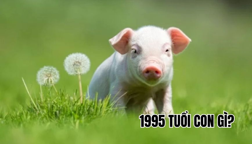1995 tuổi con gì
