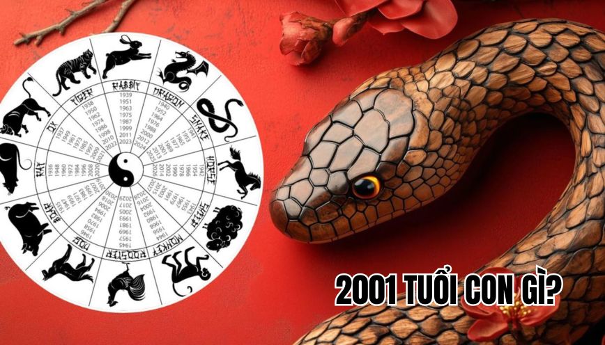 2001 tuổi con gì