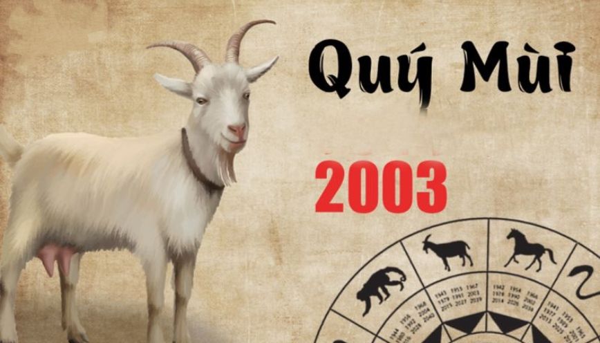 Tuổi của người sinh năm 2003 theo can chi