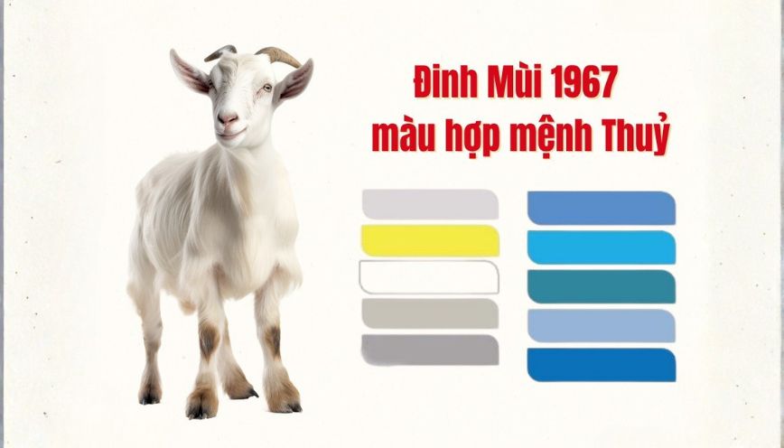 Bảng tổng hợp màu sắc hợp - kỵ cho người tuổi Đinh Mùi 1967
