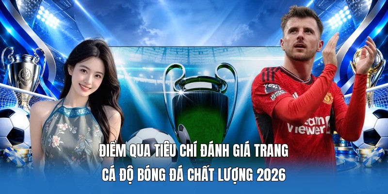 Điểm qua tiêu chí đánh giá trang cá độ bóng đá chất lượng 2026