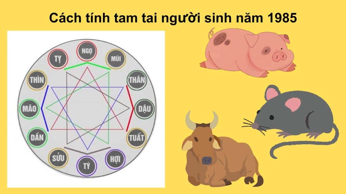 Cách tính và hóa giải hạn Tam Tai cho tuổi Ất Sửu 1985
