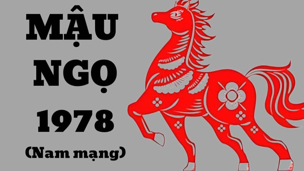 Chân dung một người đàn ông thể hiện tính cách năng động, nhiệt tình của nam Mậu Ngọ 1978
