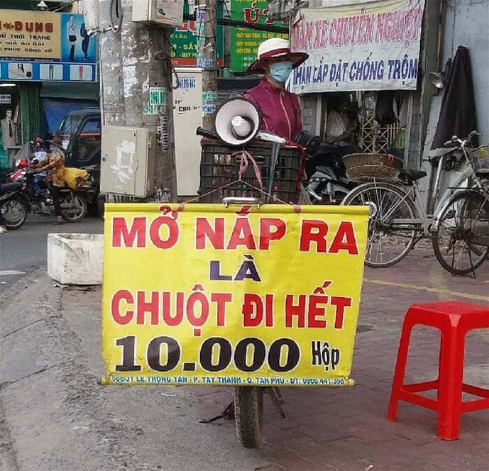 chuot can pha day dien oto