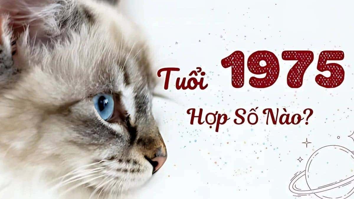 Con số may mắn được chiếu trên một bàn tay, tượng trưng cho vận may của tuổi Ất Mão 1975