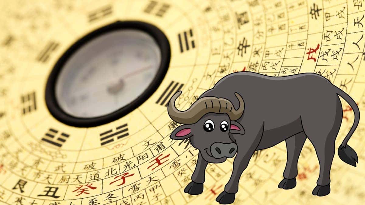 Cung mệnh của người sinh 1973 ảnh hưởng đến tính cách và vận trình