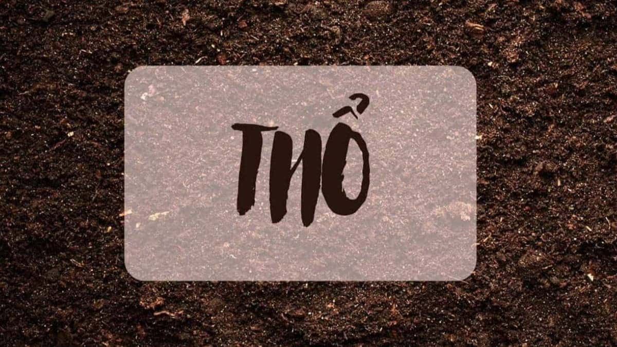 Đặc điểm tính cách của người tuổi Bính Thìn