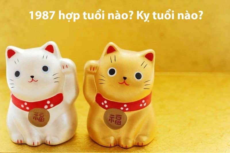 Đinh Mão 1987 mệnh gì