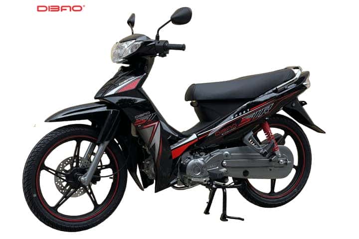 Hai chiếc xe máy phổ biến, một chiếc xe số và một chiếc xe ga, thể hiện sự đa dạng của dòng xe 100cc