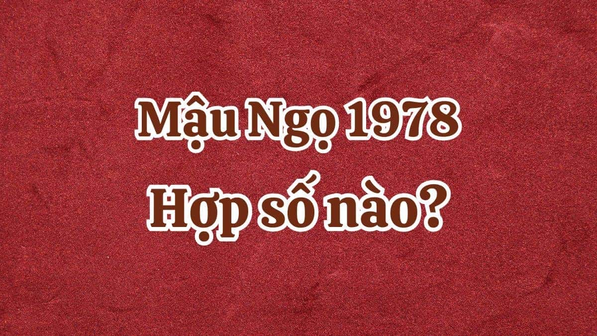 Hình ảnh các con số may mắn được gợi ý cho người tuổi Mậu Ngọ 1978